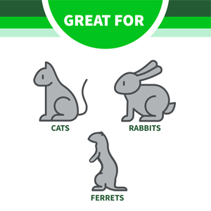 Small manufacture image 6