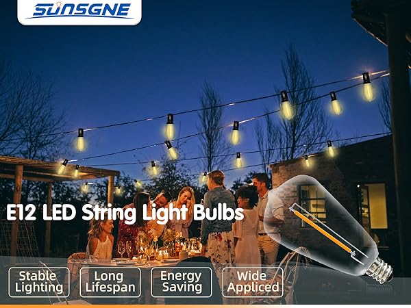 SUNSGNE 10 Pack ST38 Replacement Light Bulbs, 0.6W LED