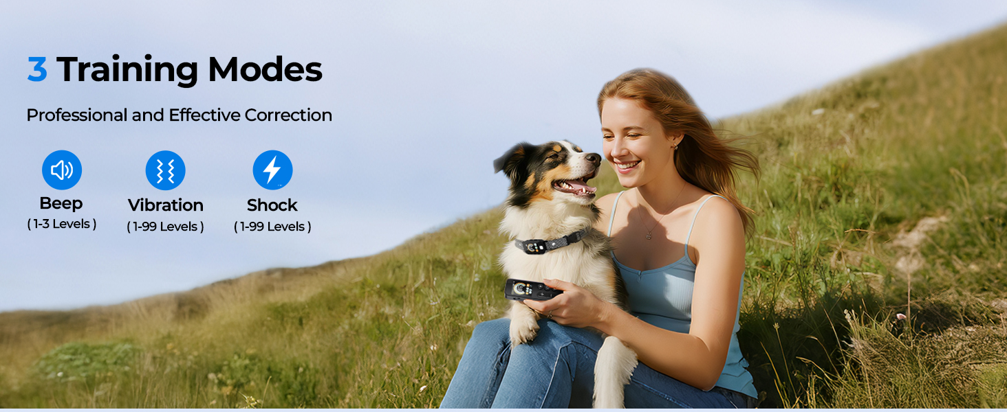 dog shock collar with remote