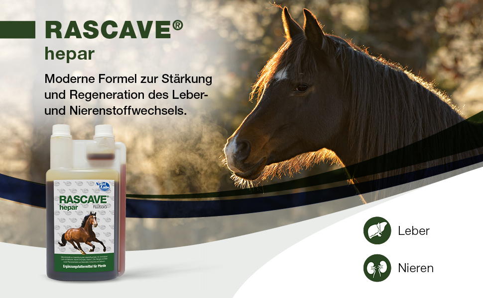 Rascave hepar Pferd Titel