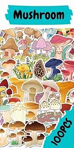 100Pcs Cute Stickers