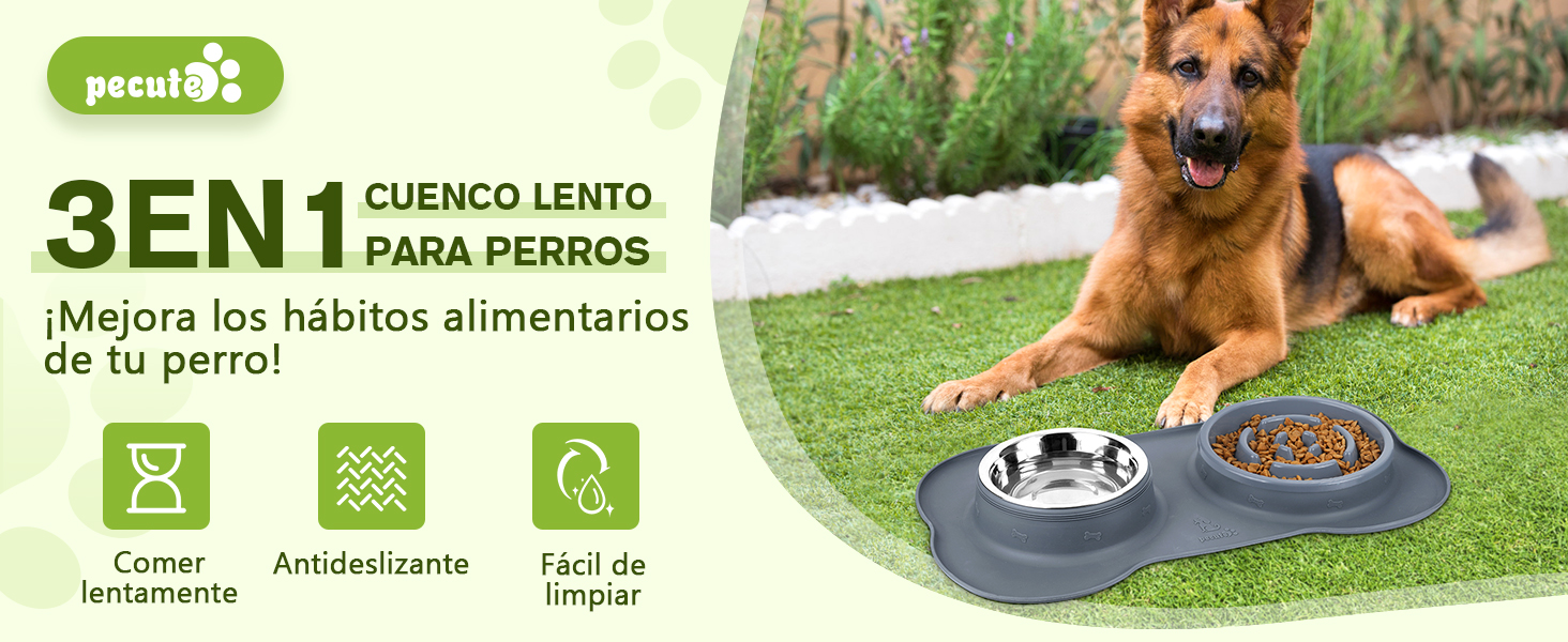 un cuenco para perros con un cuenco de agua