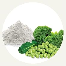 CDP Choline supports attention span, working memory and motivation