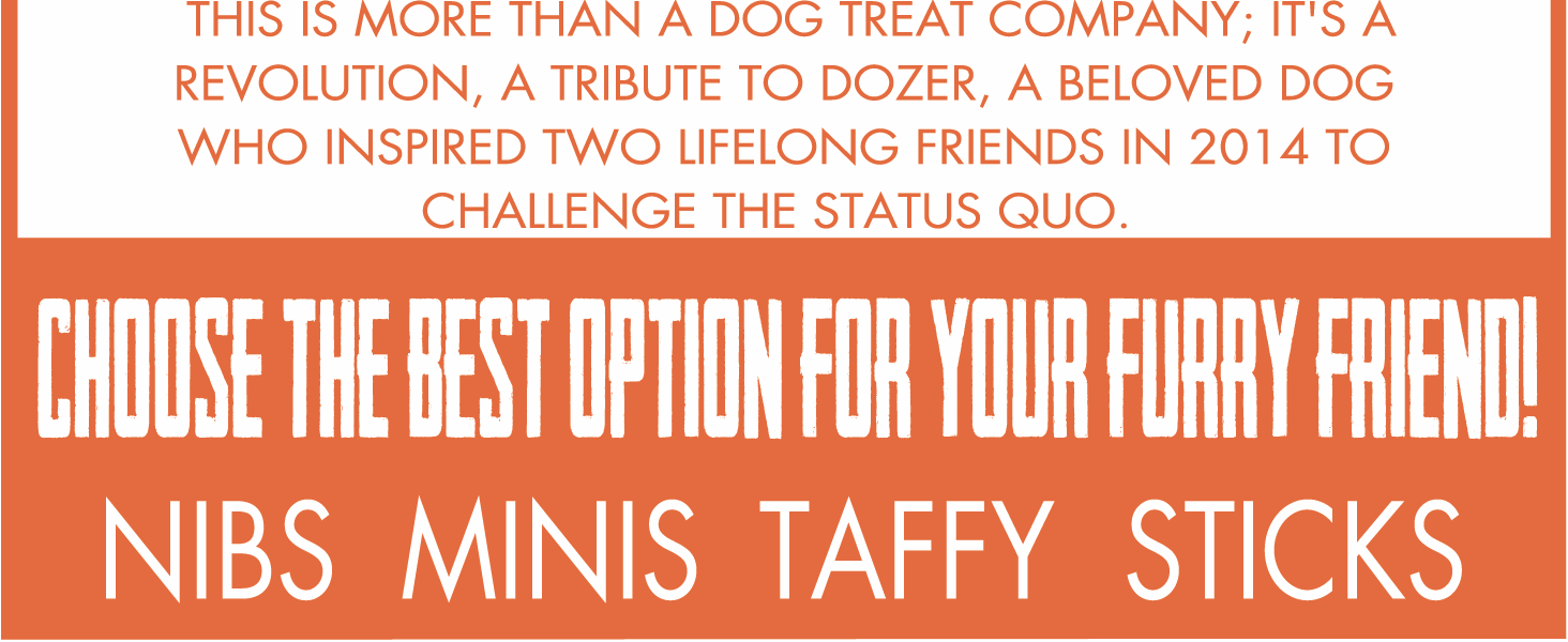 bully boys dog treats