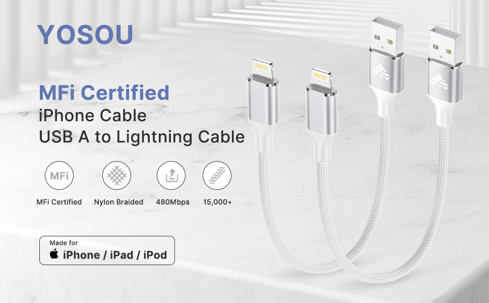iPhone Charger Cable 2Pack 0.3M USB A to Lightning Cable MFi Certified