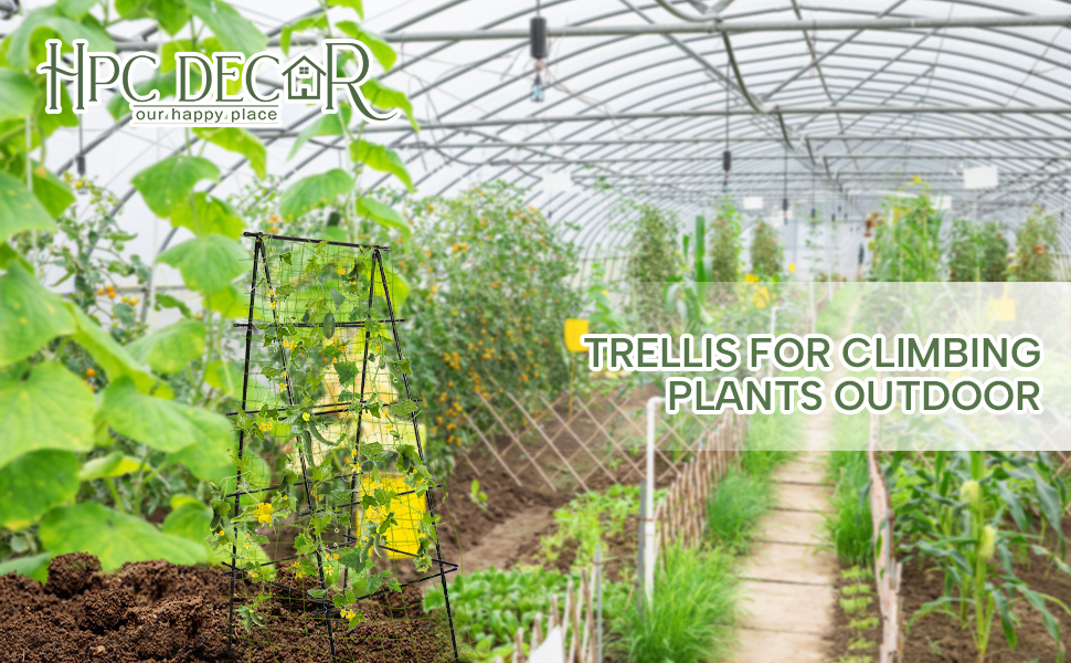 Garden Trellis for Climbing Plants Outdoor