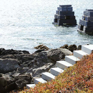 a set of steps near the water in acadia from beyond the garden