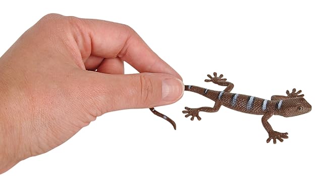 Holding Lizard