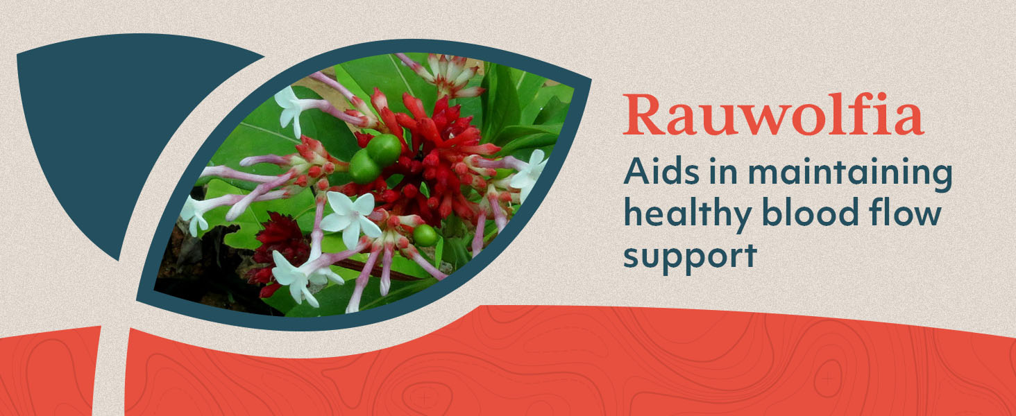 potassium pressure supplements taurate 1500mg taurato de magnesio best lower reducers medicine