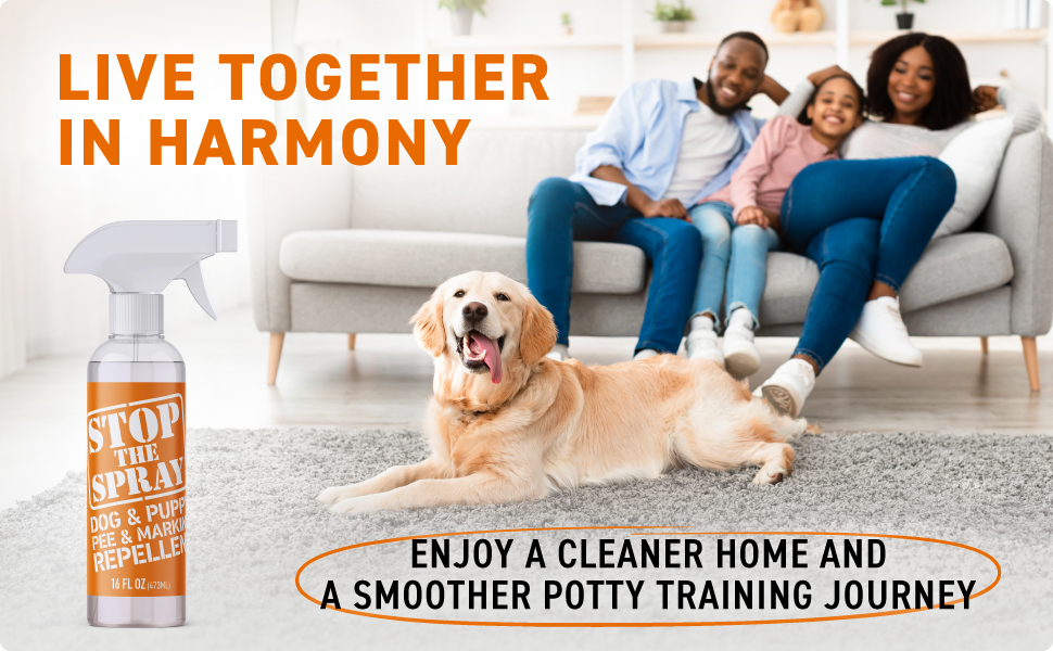 stop dog from peeing in house stop dog urinating in house dog stop marking potty training dogs