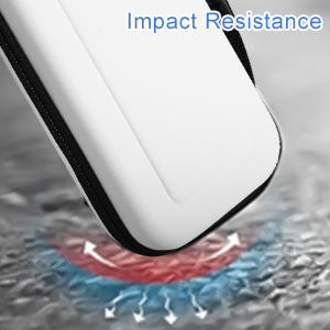 Etui pour Nintendo Switch & Switch OLED Console