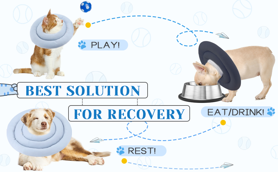 Pawfun Soft Dog Cone Alternative After