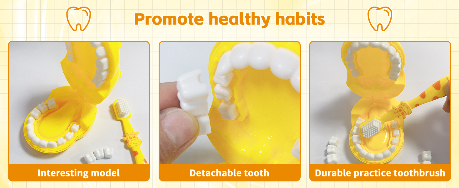 Early Education Dental Toy Set