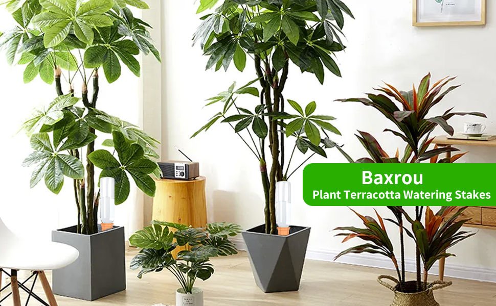 Baxrou Plant Self Watering Stakes 12 Pack Terracotta