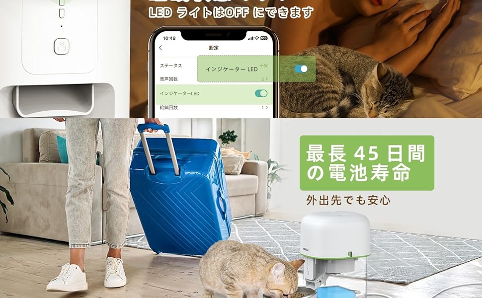 自動フィーダー猫
