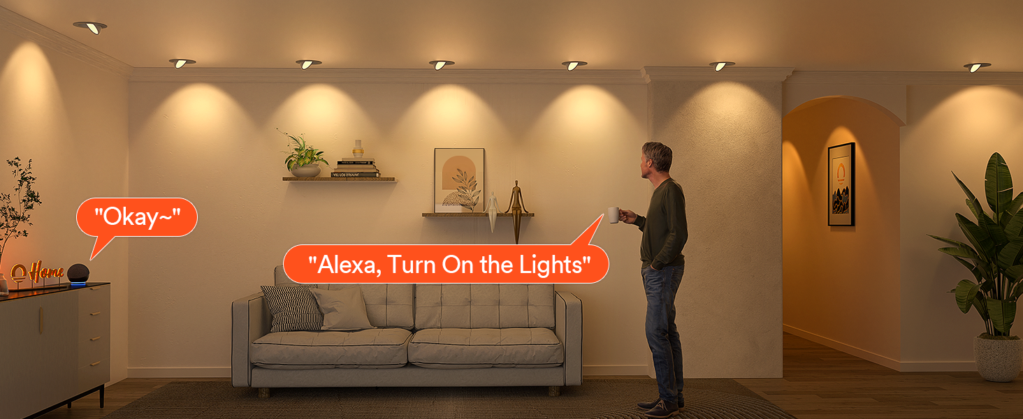 smart gimbal recessed light