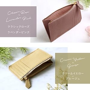 Amazon | LASIEM(ラシエム) カードケース フラグメントケース