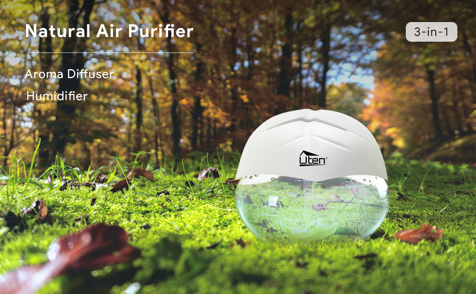 Uten Globe Air Revitaliser Purifier Freshener Humidifier Diffusers 7 LED Colour Amazon.co.uk