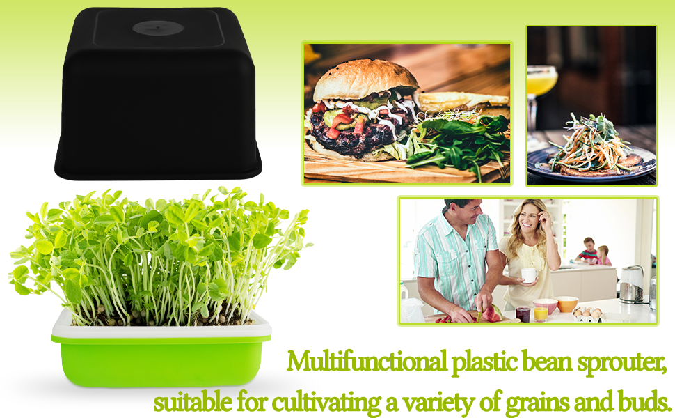 Seed Sprouter Tray