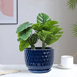 Nattol Ceramic Flower Plant Pots with Saucers - Set of 3