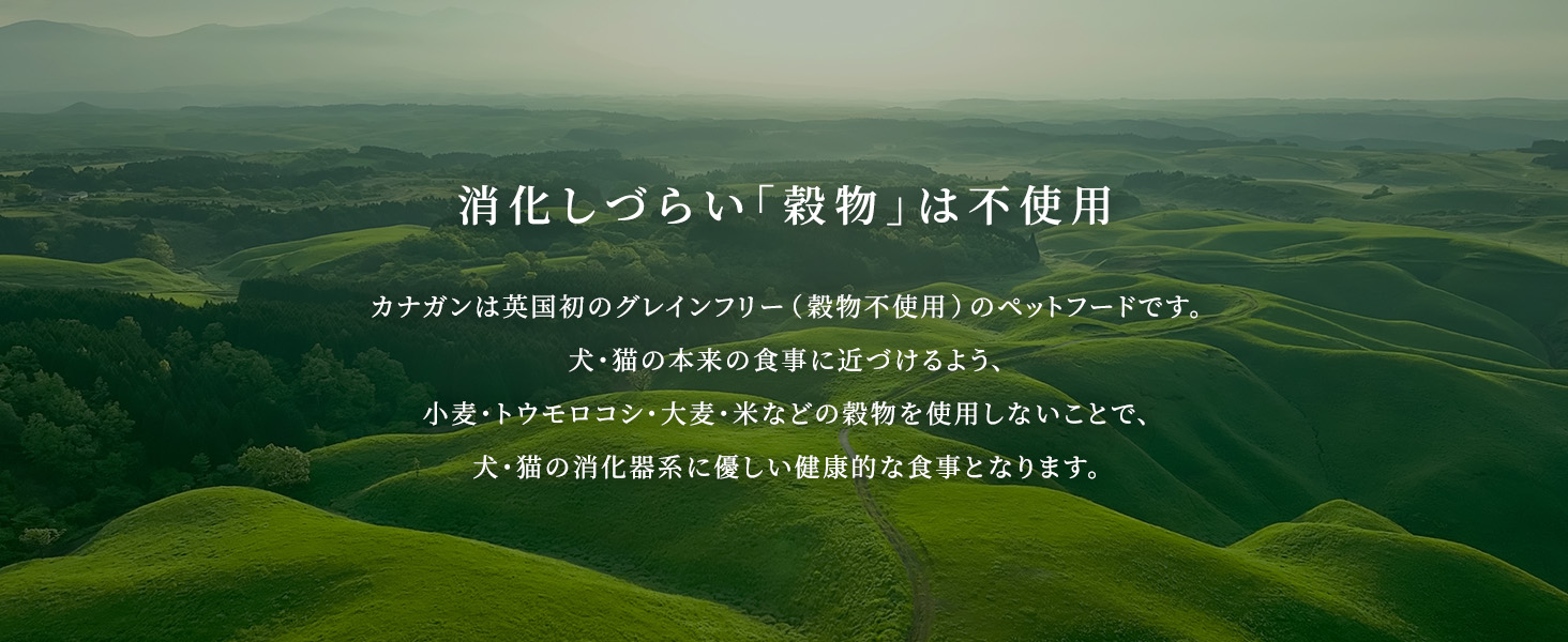 カナガン特徴2