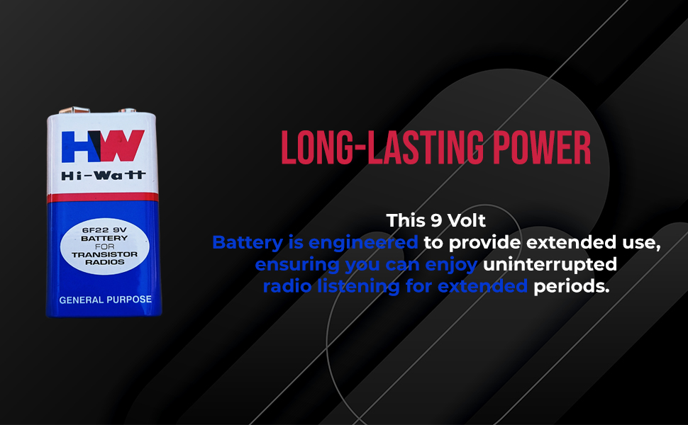 Vincentvolt General Purpose 9 Volts Battery