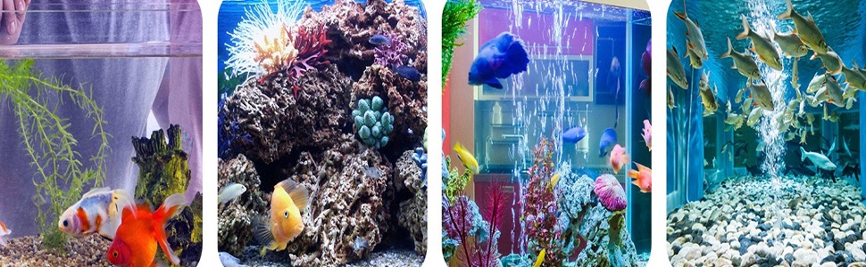 peceras pequeñas
