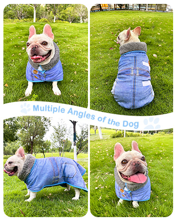 Dog Coat