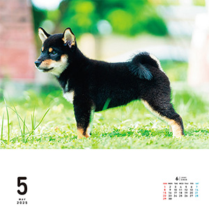 I・LOVEしば vol.2 (あなたのしば、ここにいます。) I・LOVEしば vol.2 (あなたのしば、ここにいます。) I LOVE