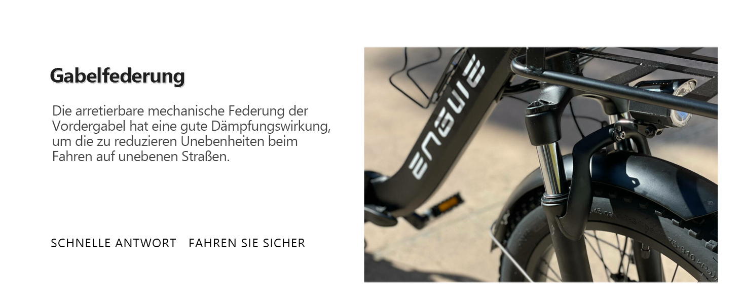 e bike herren