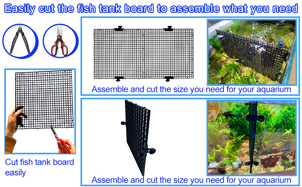 fish tank aquarium divider