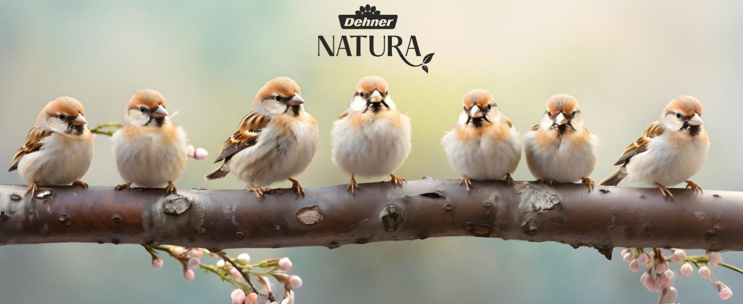 Wildvogelfutter, Dehner Natura Vogelfutter, Futterspender für Vögel, Vogelfutterspender, Wildvögel 