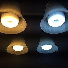 Variable color insect trap