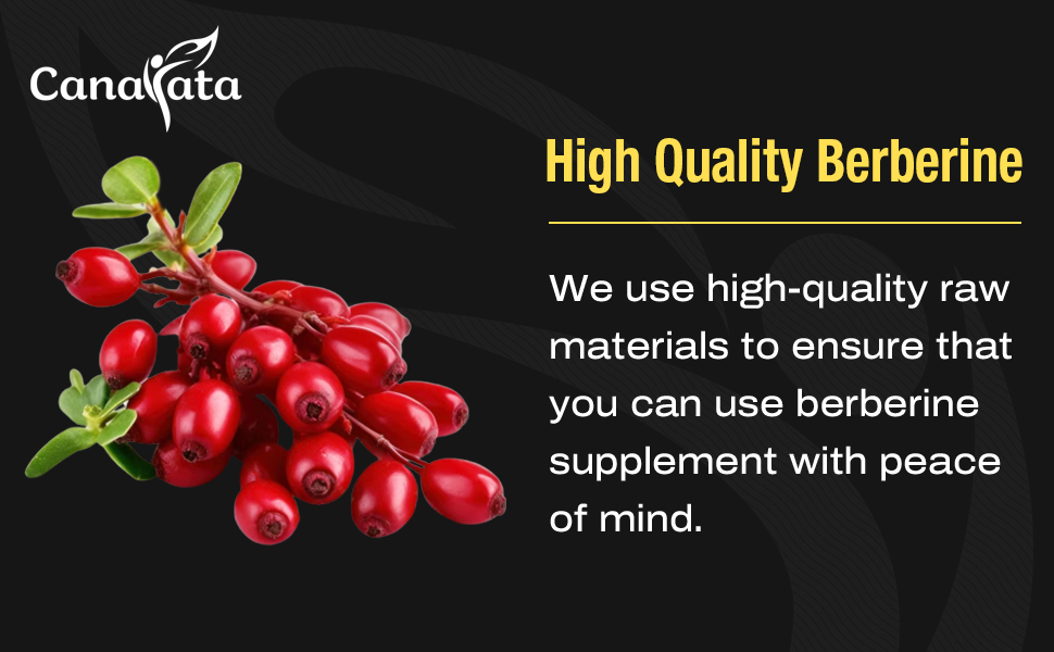Berberine Supplement