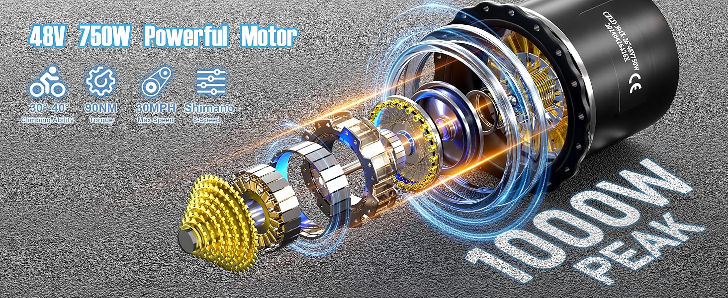 Dualmotor Electric Bike for Adults 48V 30AH Battery