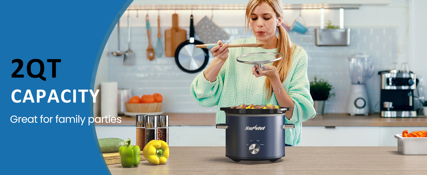 small slow cooker/mini electric food warmers for small kitchens/cheese dip warmers for 2-4 people