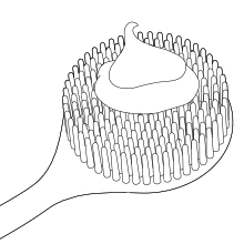 brush 8