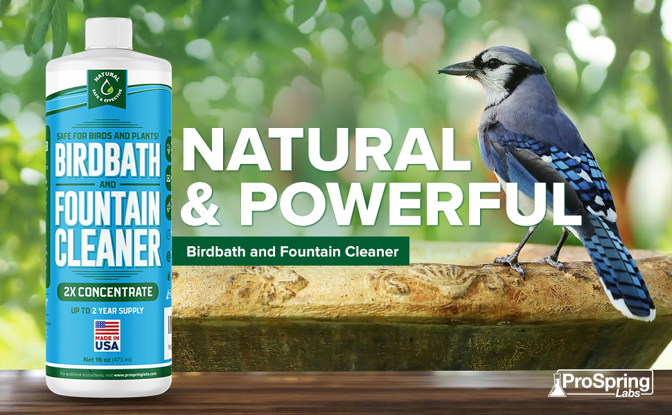 Birdbath & Fountain Cleaner 16 oz Fountain Maintenance