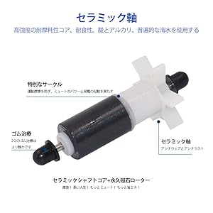 中国 足付器（水仙盆） 5189kad6OBL._UF350,350_QL80_.jpg