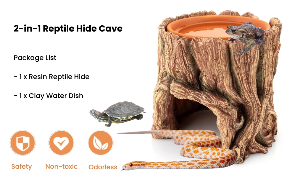 leopard gecko accessories