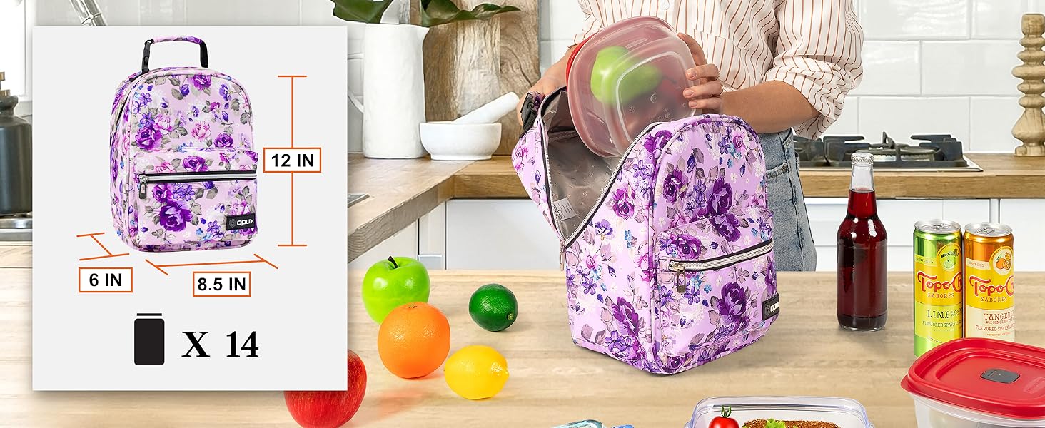 lunch bag box lunchbox adult men women kids insulated