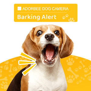 pet treat camera