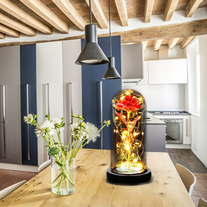 DASIAUTOEM Rose Eternelle sous Cloche, Cadeau Fete des Meres, La Belle et la Bête Rose Eternelle,Rose Dôme en Verre Fleur Artificielle avec LED Lumières Cadeau pour Maman Femme Grand-mère Anniversaire fleur artificielle