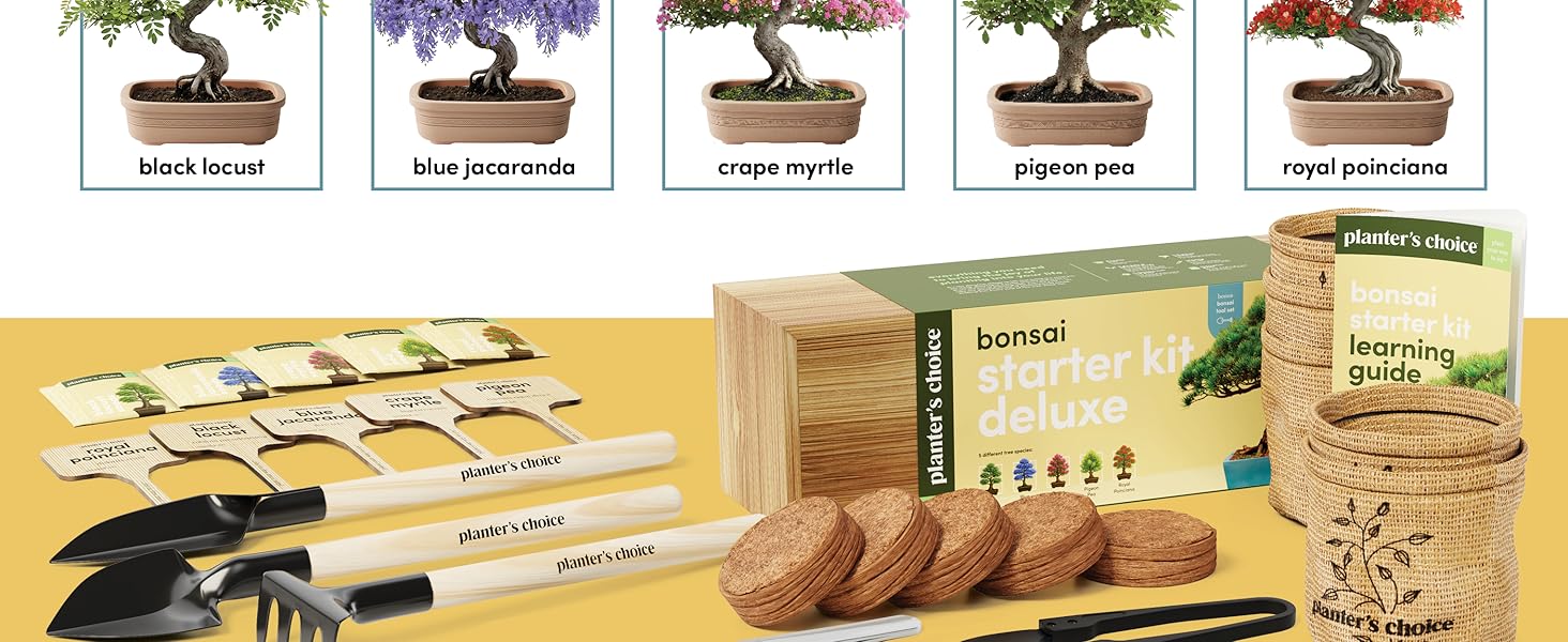 Bonsai 5 Pack