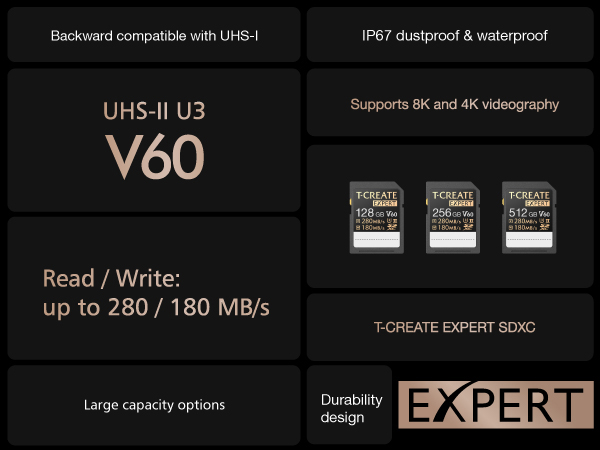 TEAM MESSAGE - （2枚セット）Team(チーム) SDXC 256GB V60 UHS-II TEAM MESSAGE - （2枚セット）Team(チーム) SDXC 256GB V60 UHS