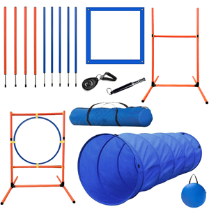 Dog Agility Training Equipment