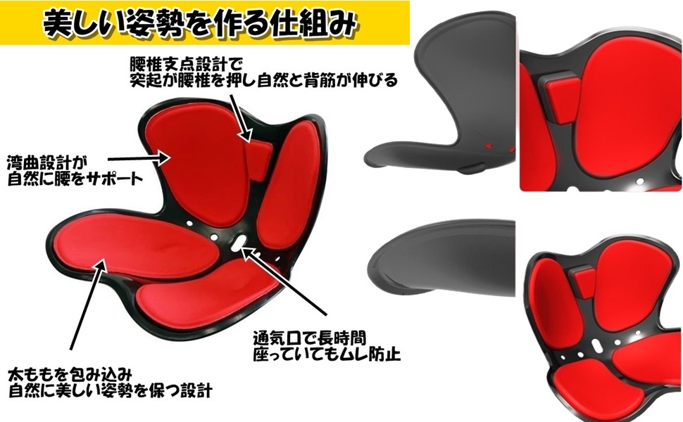 ◾️貴重品◾️骨盤矯正で腰痛改善のプロへ！誰でもできる4つの手技と鑑別検査法の全て Belly Fat Burn】 Fix Arched Back & Lose Fat with Stretching