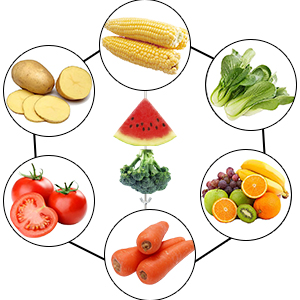 alfalfa blocks for chickens parrot fruit skewer