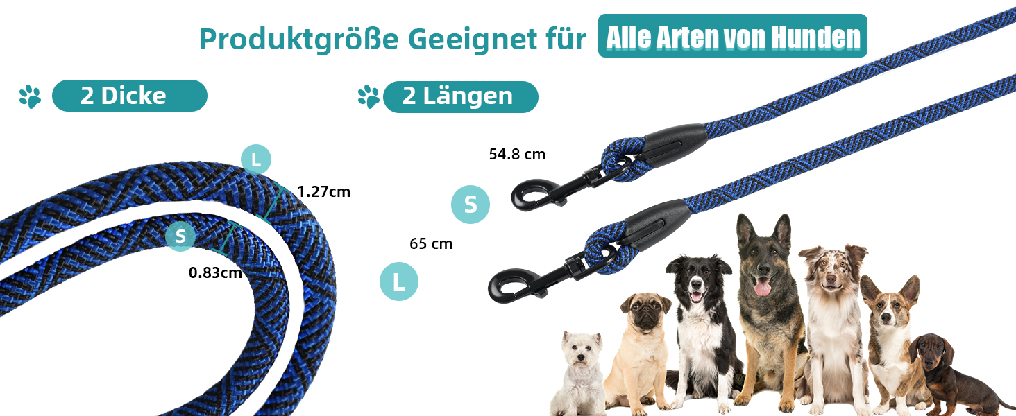 Doppelleine Trainingsleine