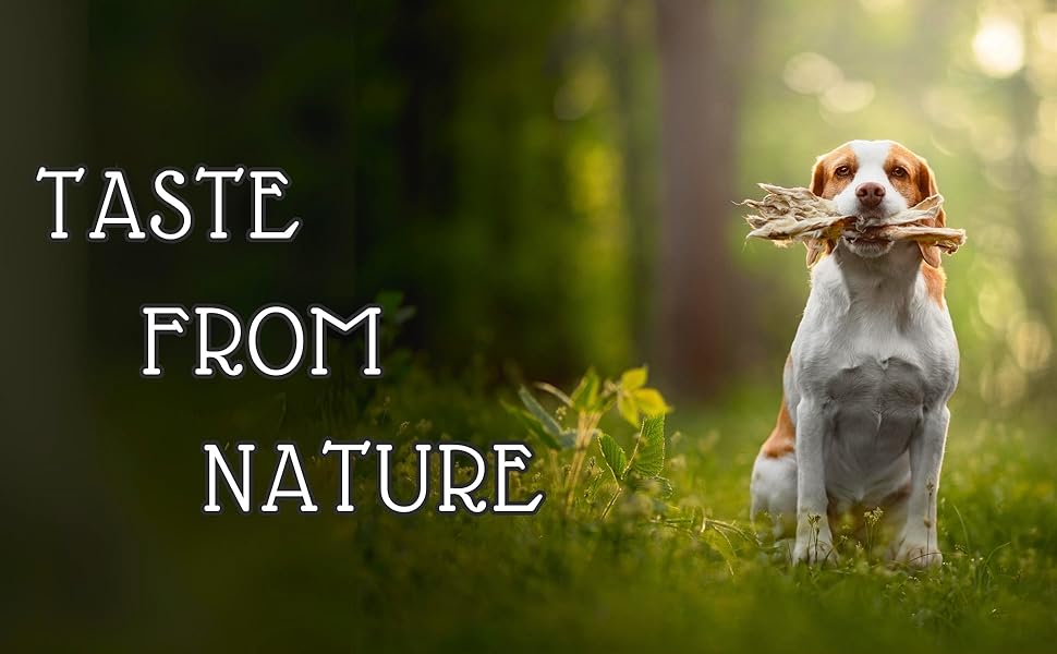Taste From Nature